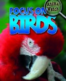 Bild des Verkufers fr Focus on Birds (Animal Watch) zum Verkauf von NEPO UG