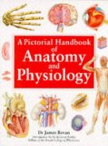 Immagine del venditore per A Pictorial Handbook of Anatomy & Physiology venduto da NEPO UG
