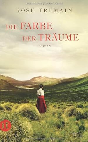 Bild des Verkufers fr Die Farbe der Trume: Roman (insel taschenbuch) zum Verkauf von NEPO UG