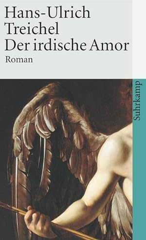Bild des Verkufers fr Der irdische Amor: Roman (suhrkamp taschenbuch) Roman zum Verkauf von NEPO UG