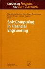 Seller image for Soft Computing in Financial Engineering (Studies in Fuzziness and Soft Computing Vol. 28) for sale by NEPO UG