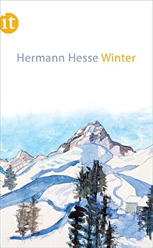 Seller image for Winter (insel taschenbuch) for sale by NEPO UG