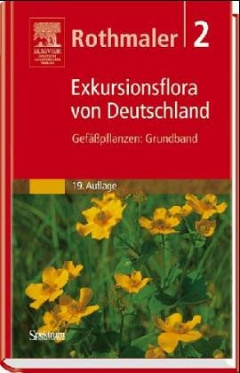 Seller image for Exkursionsflora von Deutschland 2. Gefpflanzen. Grundband for sale by NEPO UG