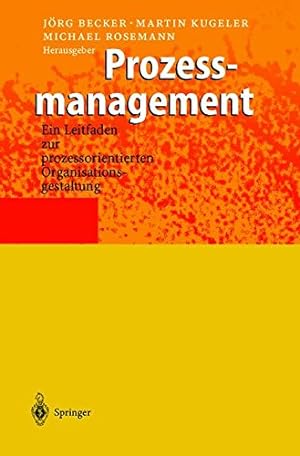 Seller image for Prozessmanagement: Ein Leitfaden zur prozessorientierten Organisationsgestaltung for sale by NEPO UG