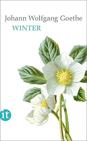 Seller image for Winter (insel taschenbuch) for sale by NEPO UG