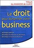 Seller image for Le Droit Pour Dynamiser Votre Business : Stratgie Judiciaire, Stratgie De Protection Du Patrimoine for sale by RECYCLIVRE