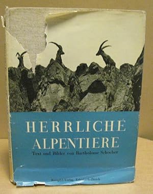 Immagine del venditore per Herrliche Alpentiere. venduto da Nicoline Thieme