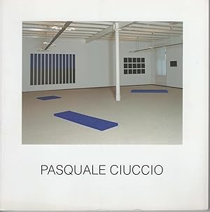 Pasquale Ciuccio Work in Progress 1995 - 1998