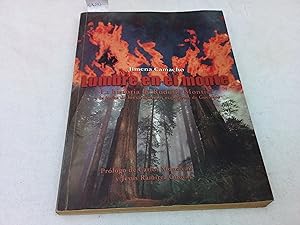 Seller image for Lumbre en el monte. La historia de Rodolfo Montiel y la lucha de los campesinos ecologistas de Guerrero for sale by Librera "Franz Kafka" Mxico.