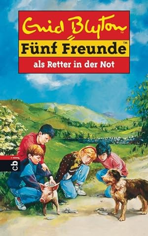 Fünf Freunde, Neubearb., Bd.11, Fünf Freunde als Retter in der Not (Einzelbände, Band 11)