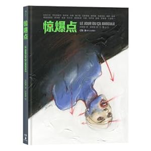 Seller image for Shock point(Chinese Edition) for sale by liu xing