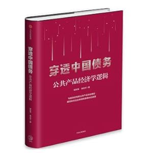 Seller image for Penetrating Chinese debt(Chinese Edition) for sale by liu xing
