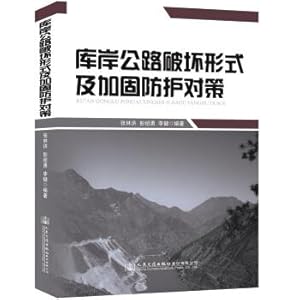 Immagine del venditore per Destruction Forms of Bank Road and Countermeasures for Reinforcement Protection(Chinese Edition) venduto da liu xing