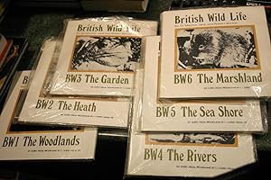 Seller image for British Wild Life for sale by SGOIS