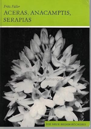 Aceras, Anacamptis, Serapias. Orchideen Mitteleuropas.