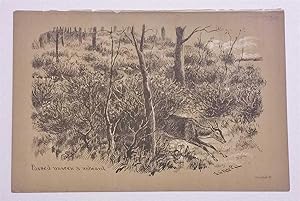 Imagen del vendedor de Passed Unseen & Unheard c.1885 Hunting Litho Print a la venta por Maynard & Bradley