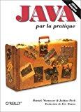 Bild des Verkufers fr Java Par La Pratique zum Verkauf von RECYCLIVRE