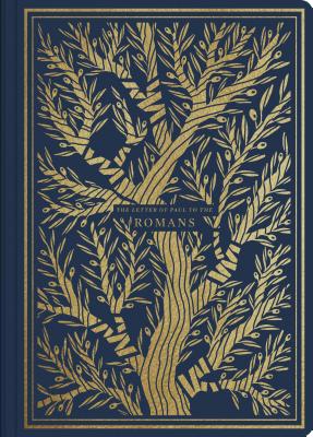 Seller image for ESV Illuminated Scripture Journal: Romans (Paperback or Softback) for sale by BargainBookStores
