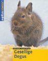 Seller image for Gesellige Degus for sale by NEPO UG