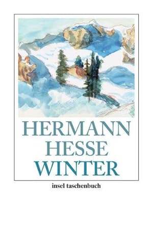 Bild des Verkufers fr Winter (insel taschenbuch) zum Verkauf von NEPO UG