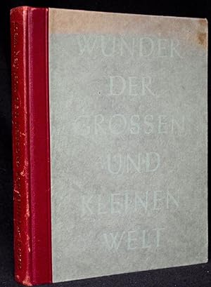 Wunder der großen und kleinen Welt. Ein Bilderwerk von den Formen und Kräften der Natur