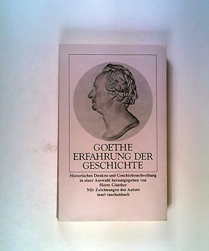 Seller image for Goethe Erfahrung der Geschichte Historisches Denken und Geschichtsschreibung for sale by ANTIQUARIAT Franke BRUDDENBOOKS