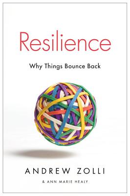 Immagine del venditore per Resilience: Why Things Bounce Back (Paperback or Softback) venduto da BargainBookStores