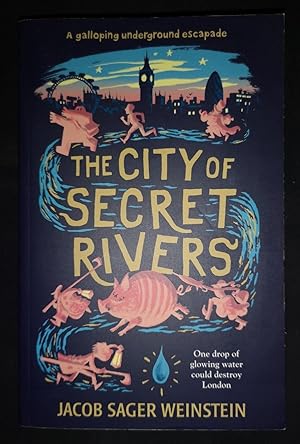 Bild des Verkufers fr THE CITY OF SECRET RIVERS zum Verkauf von Happyfish Books