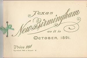 New Birmingham, Texas, As It Is [reprint]