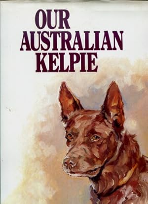 Our Australian Kelpie