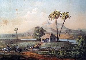 Bild des Verkufers fr Album Pintoresco de la Isla de Cuba. zum Verkauf von Harteveld Rare Books Ltd.