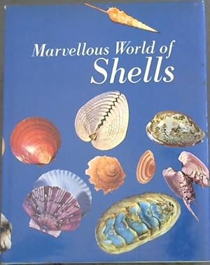 Bild des Verkufers fr Marvellous World of Shells (Abbey Library) zum Verkauf von Chapter 1