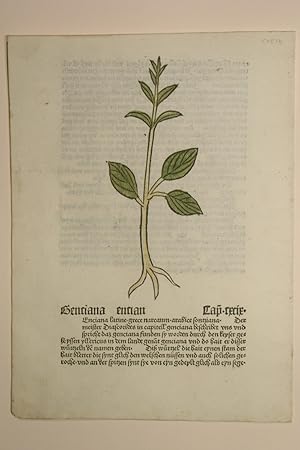 Bild des Verkufers fr Gart der Gesundheit (GWM 9766, Hain 8948). Blatt: Cap. cxcix. Gentiana. zum Verkauf von Versandantiquariat Christine Laist