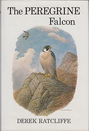 Bild des Verkufers fr THE PEREGRINE FALCON. By Derek Ratcliffe. zum Verkauf von Coch-y-Bonddu Books Ltd