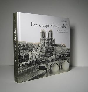 Paris, capitale du relief. Une photographie de la ville au quotidien en 1860
