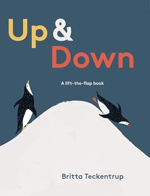 Seller image for Up & Down: A Lift-The-Flap Book (Hardback or Cased Book) for sale by BargainBookStores