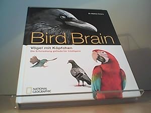 Bildband Vögel: Überflieger. Vögel mit Köpfchen.tDie faszinierende Erforschung der gefiederten In...