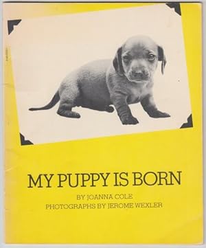 Imagen del vendedor de My Puppy Is Born a la venta por HORSE BOOKS PLUS LLC