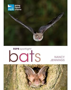 RSPB Spotlight: Bats.