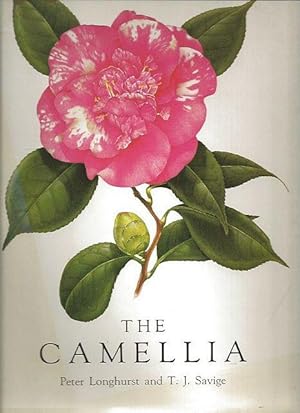 Image du vendeur pour The Camellia. Fifty-three paintings by Peter Longhurst. mis en vente par C. Arden (Bookseller) ABA