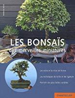 Bild des Verkufers fr Les Bonsas : Des Merveilles Miniatures : Les Soins Et La Mise En Forme, Les Techniques De Taille Et zum Verkauf von RECYCLIVRE