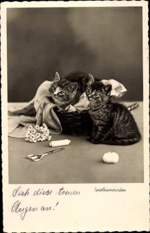 Ansichtskarte / Postkarte Spielkameraden, Hauskatzen, Kätzchen, Nähkorb, Schere