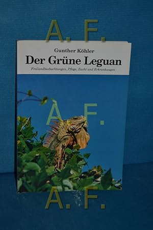 Imagen del vendedor de Der Grne Leguan : Freilandbeobachtungen, Pflege, Zucht und Erkrankungen. Gunther Khler a la venta por Antiquarische Fundgrube e.U.