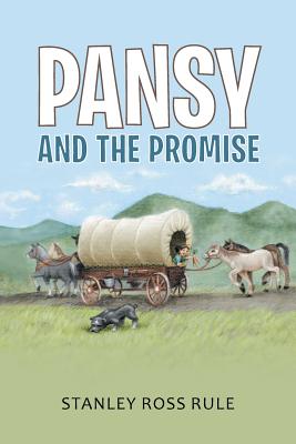 Bild des Verkufers fr Pansy and the Promise (Paperback or Softback) zum Verkauf von BargainBookStores