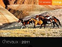 Bild des Verkufers fr Chevaux 2011 zum Verkauf von RECYCLIVRE