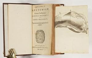 Epistolae anatomicae.