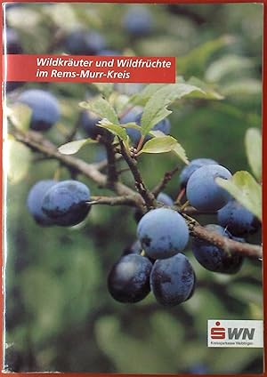 Seller image for Wildkruter und Wildfrchte im Rems-Murr-Kreis. for sale by biblion2