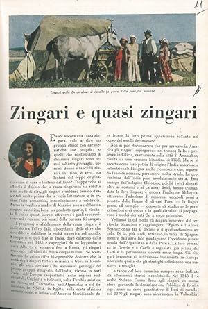 Zingari e quasi zingari.