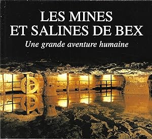 Les mines et salines de Bex, une grande aventure humaine