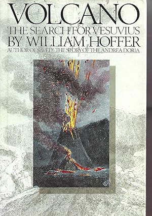 Imagen del vendedor de Volcano: The Search for Vesuvius a la venta por Warren Hahn